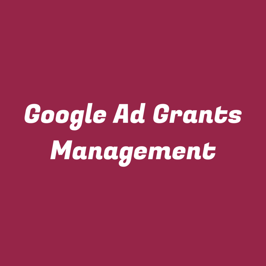 Google Ad Grants Management